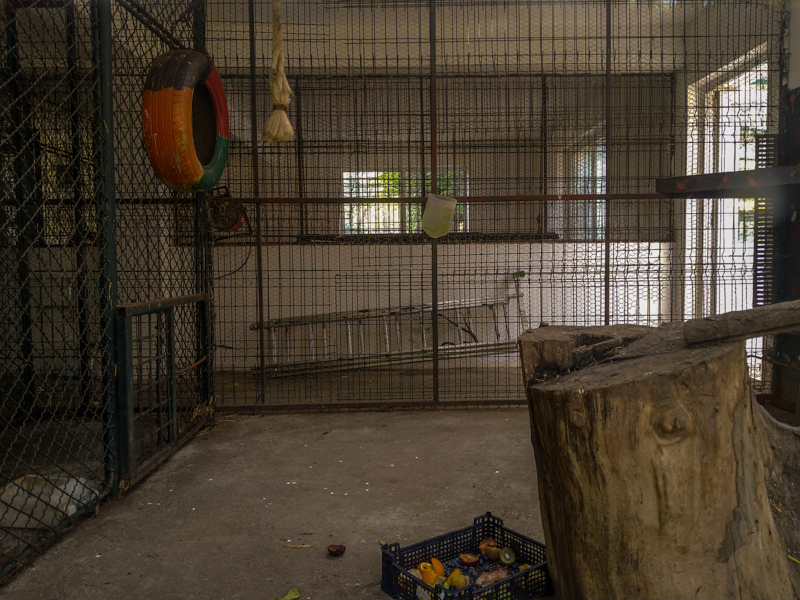 indoor enclosure of crab-eating macaque