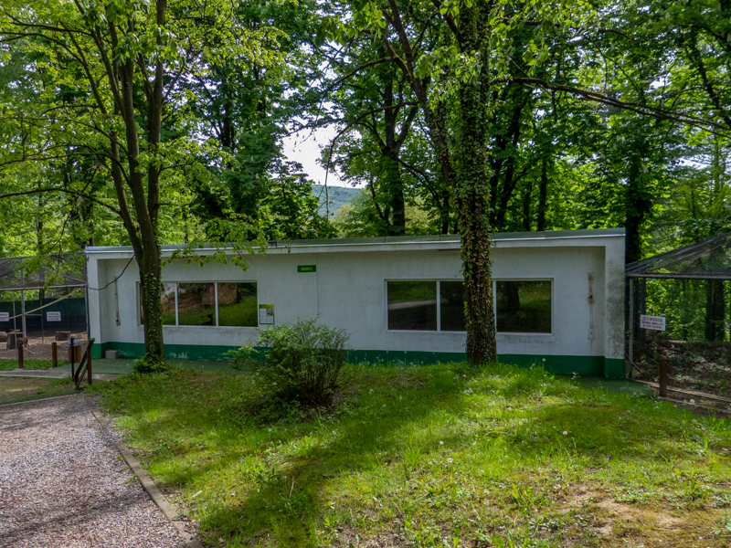 indoor enclosure of hamadryas baboon