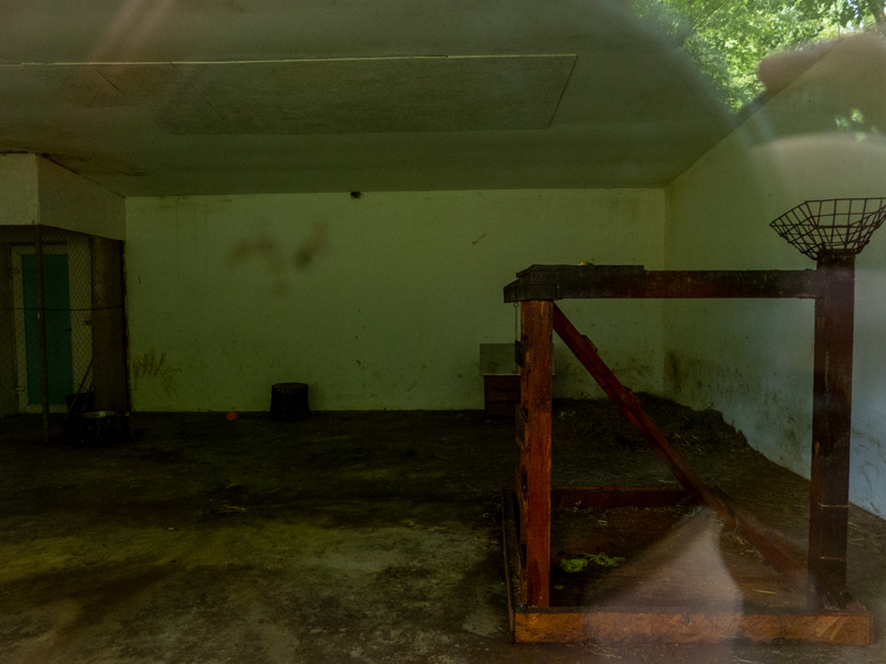indoor enclosure of hamadryas baboon