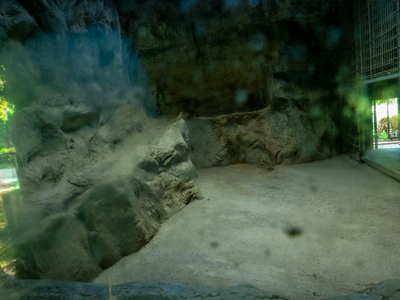 indoor enclosure of jaguar