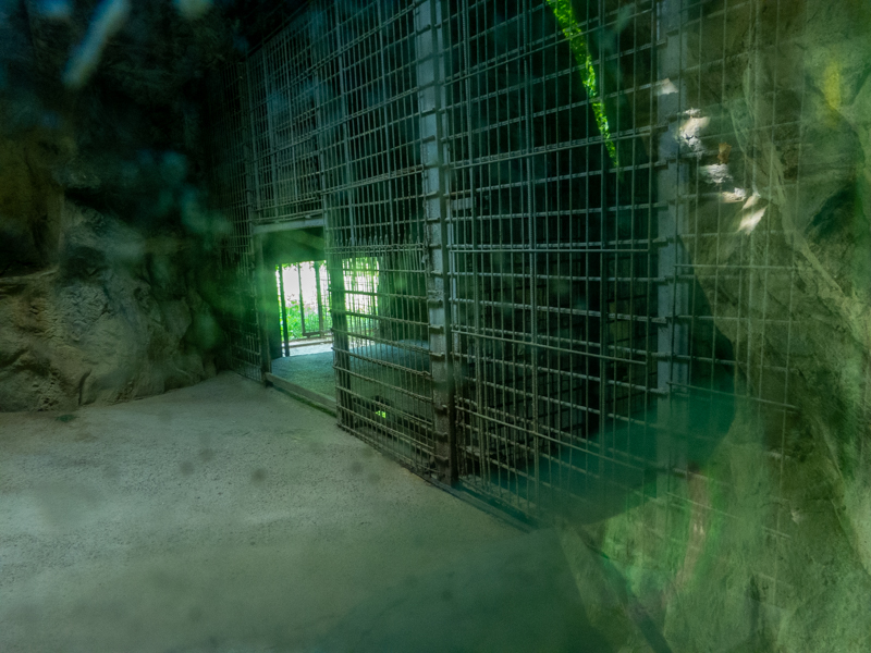 indoor enclosure of jaguar
