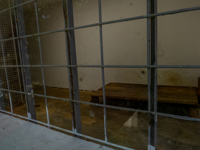 indoor enclosure of jaguar