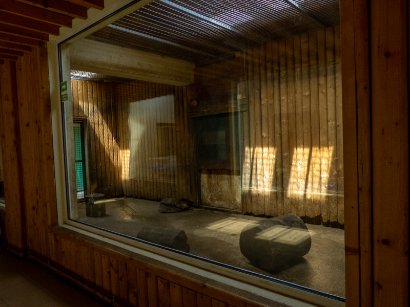 indoor enclosure of monkeys