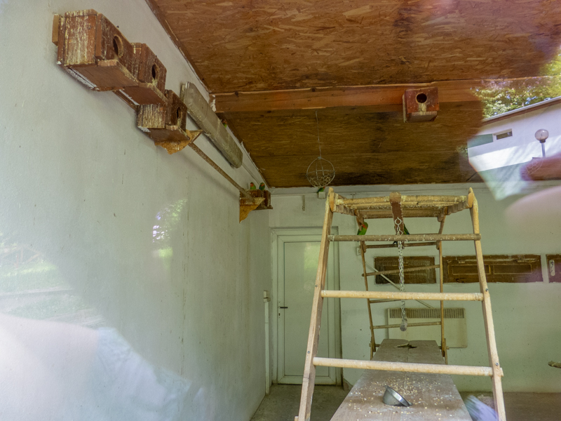 indoor enclosure of parrots