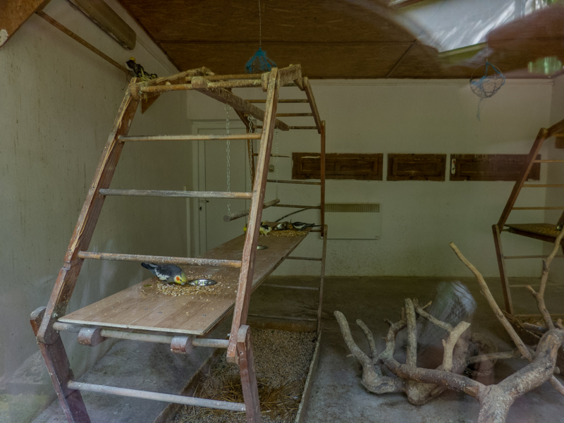 indoor enclosure of parrots