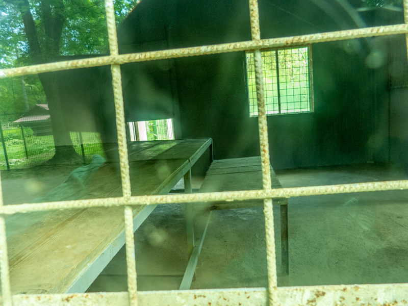 indoor enclosure of tiger