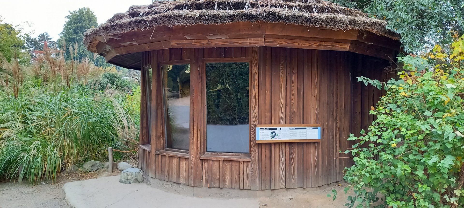 Indoor-enclosure Ruffed lemur