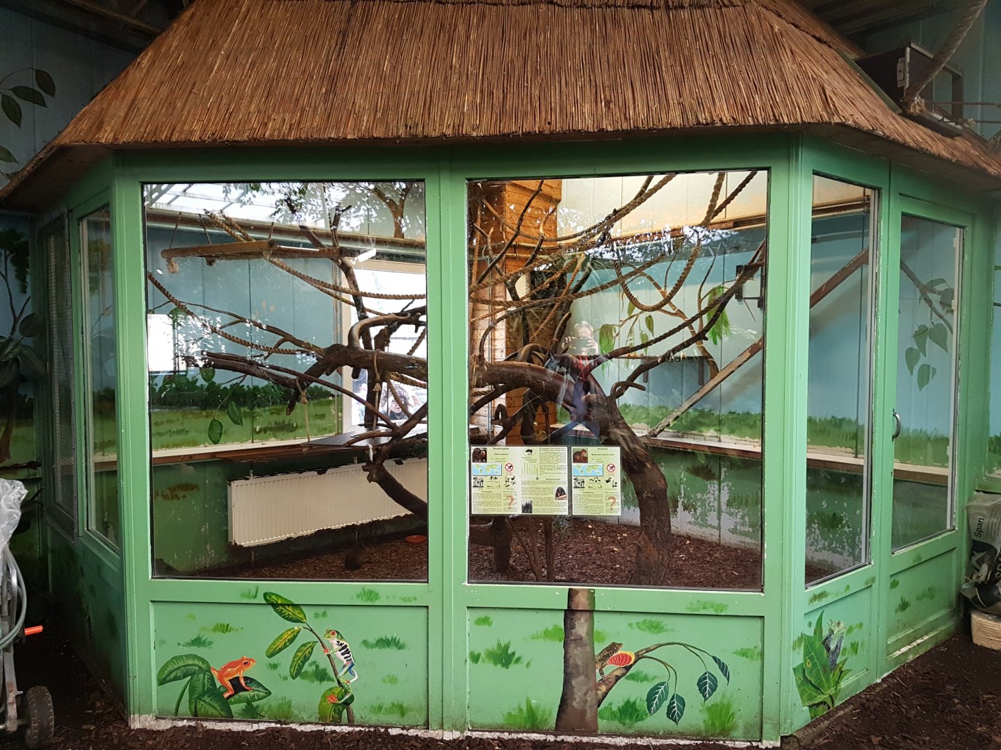 Indoor-enclosure saki and acouchy