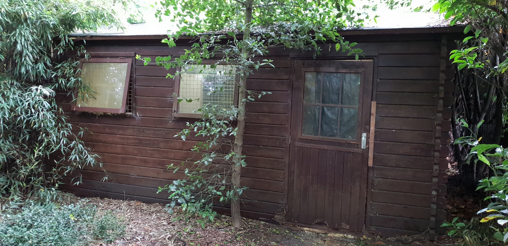 Indoor-enclosure Serval