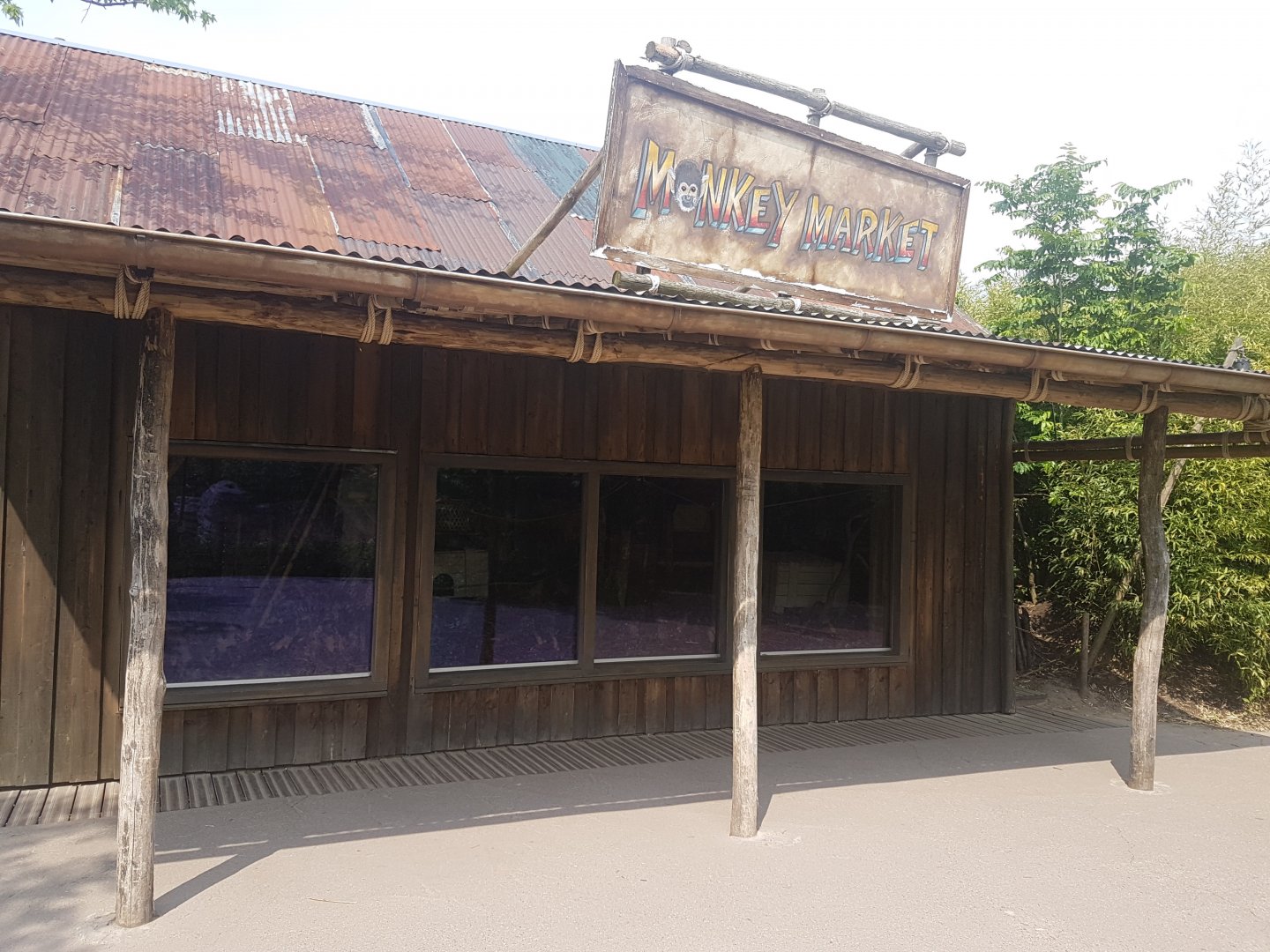 Indoor-enclosure Squirrel monkey