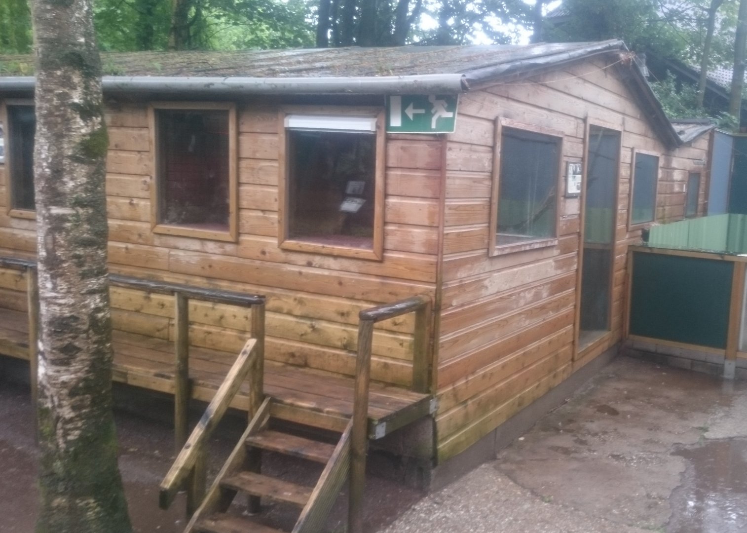 Indoor-enclosure Tamandoa