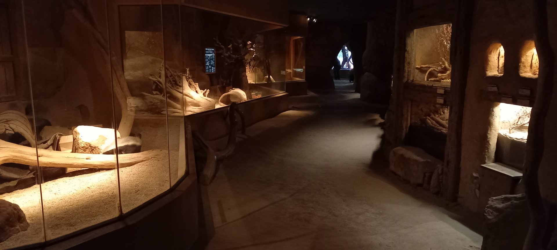 Indoor-enclosures Africa-house