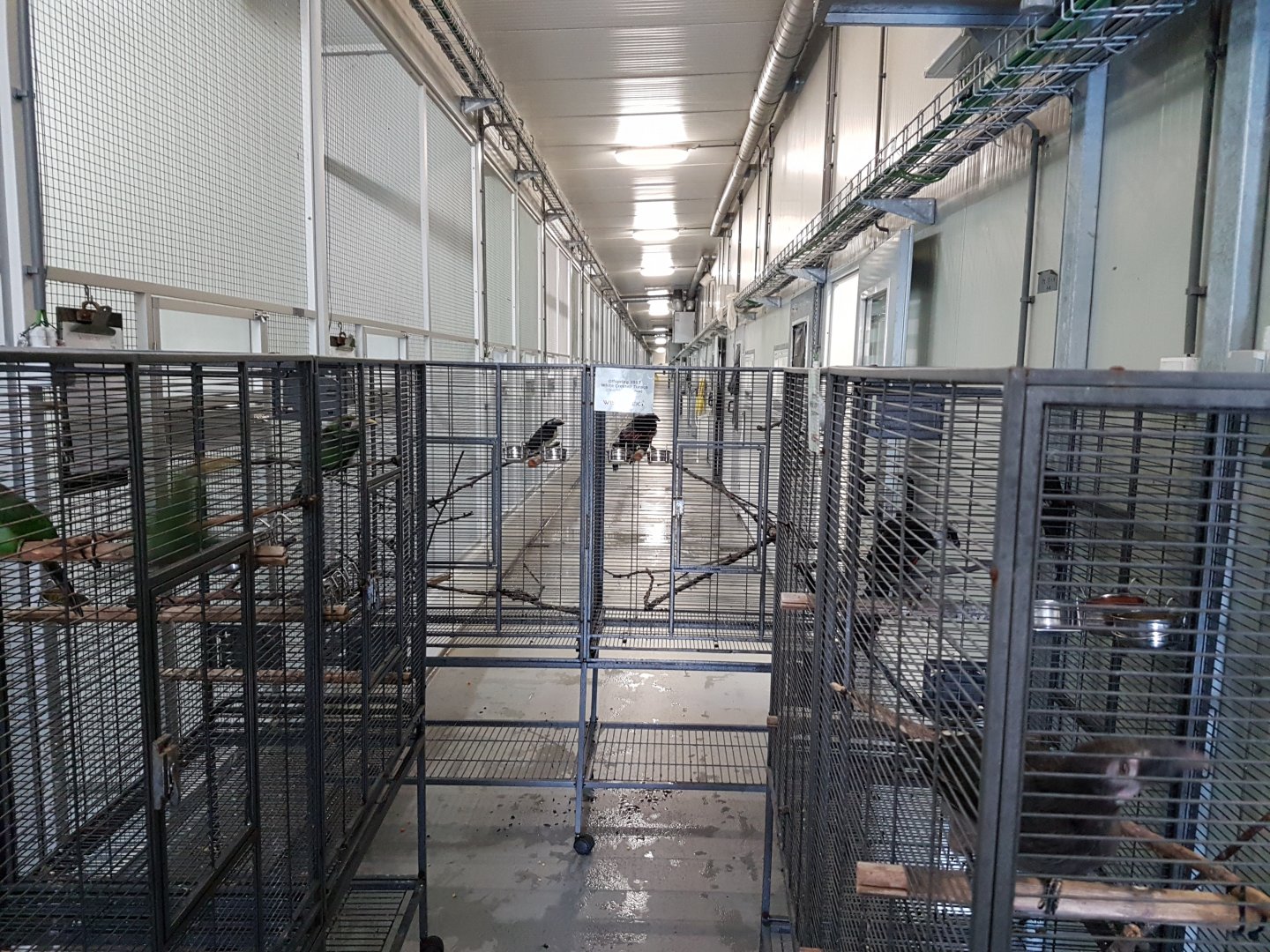 Indoor-enclosures blocked by some holding-cages