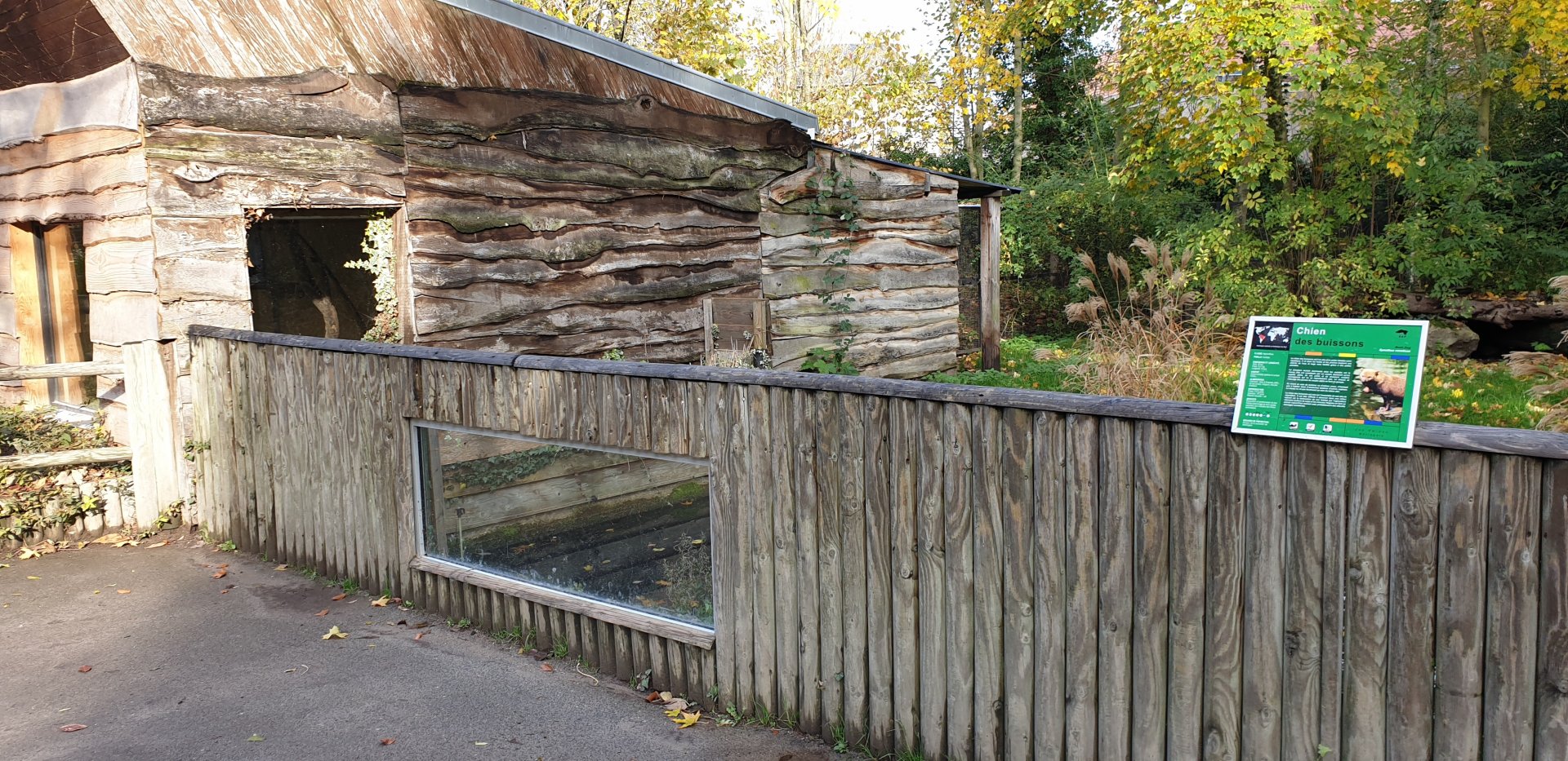 Indoor enclosures Bush dog - back and Ring-tailed lemur - front