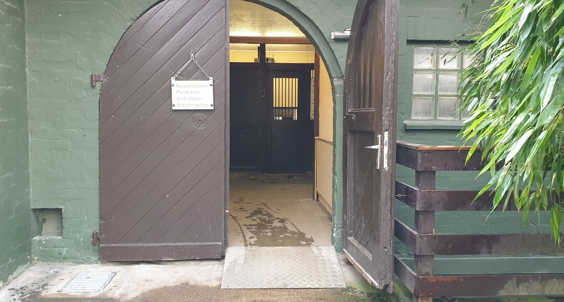 Indoor-enclosures Coati's - Pelicans - Antilopes - Deer