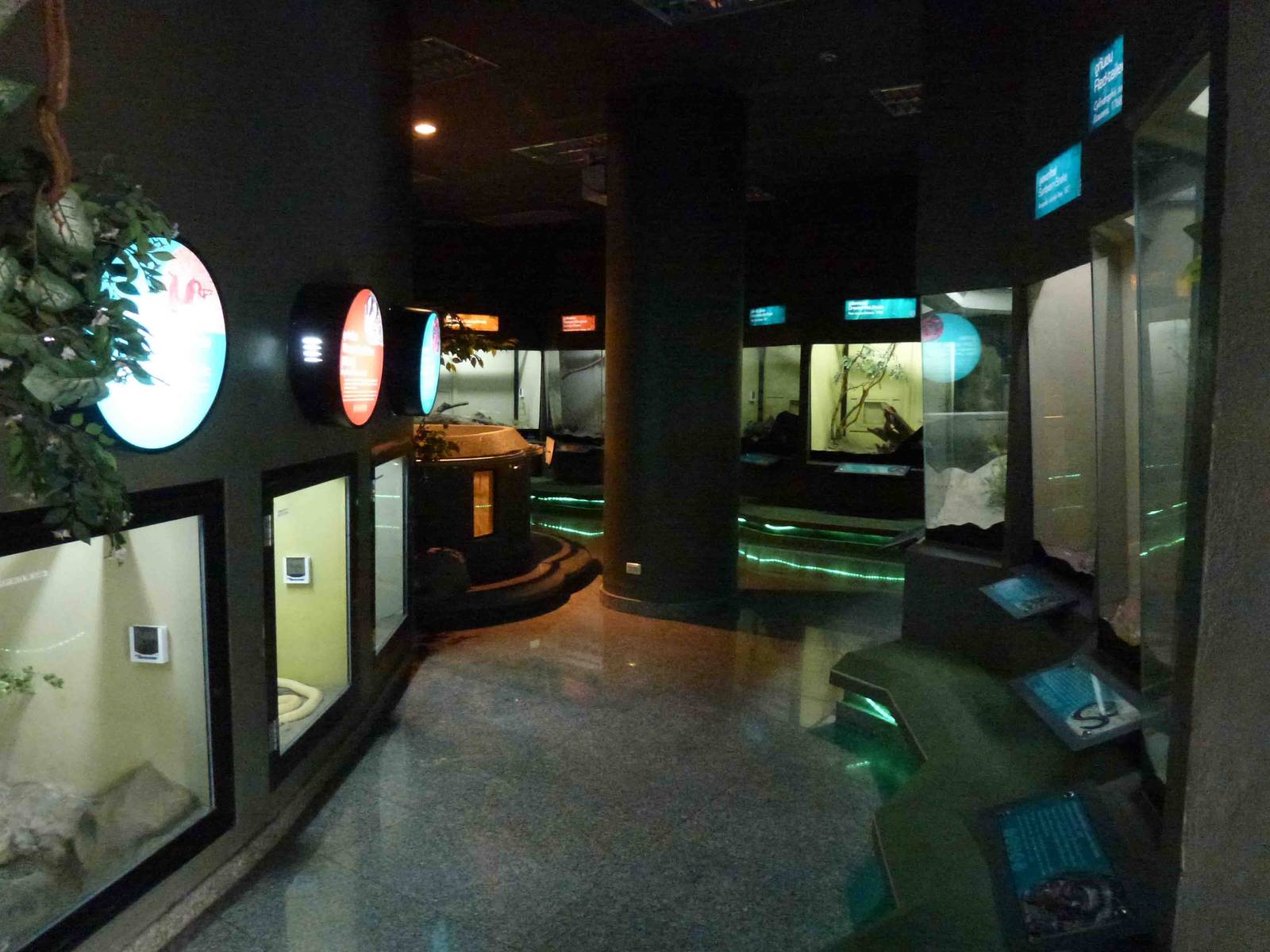 Indoor enclosures, June 2013.