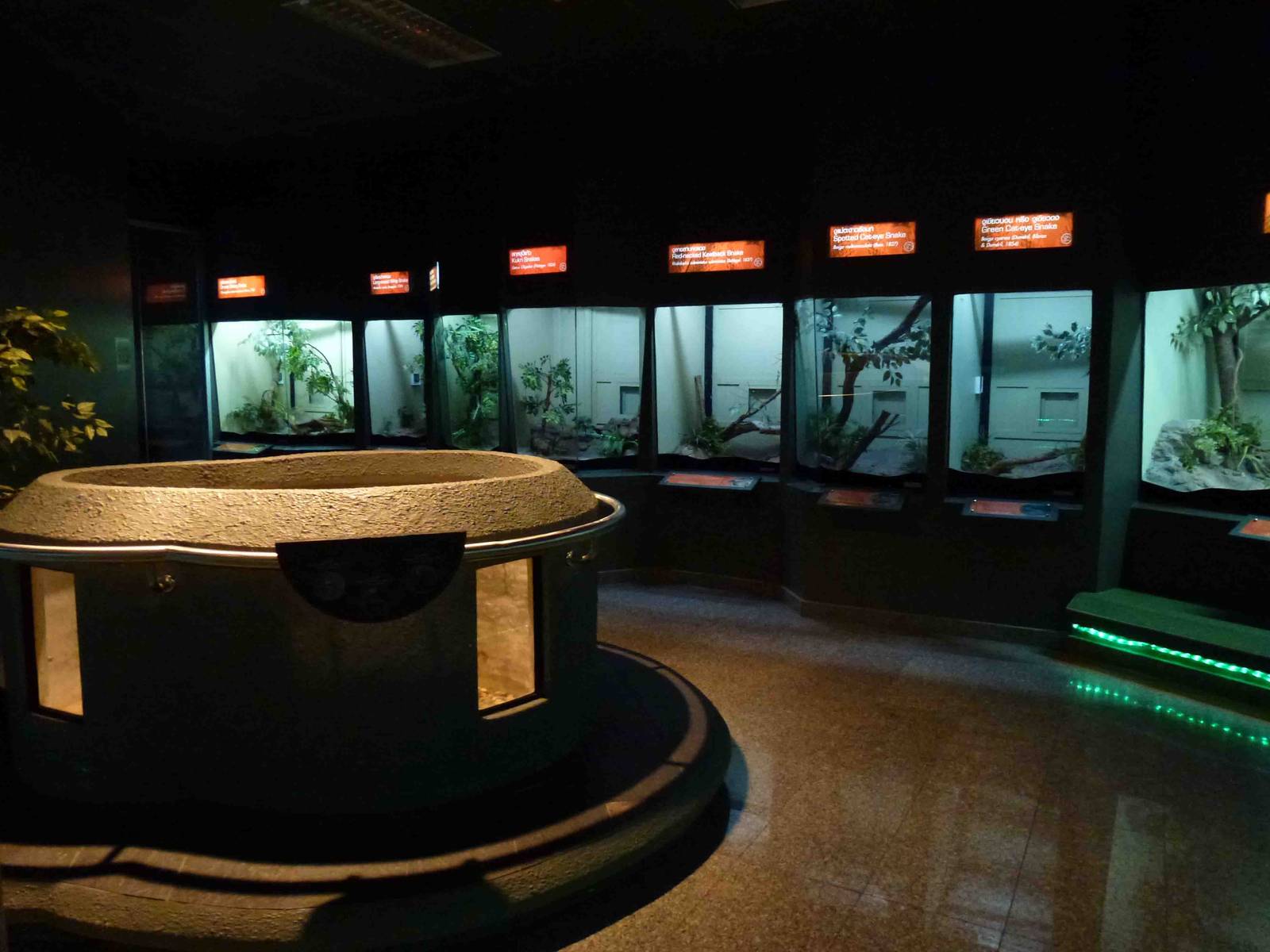 Indoor enclosures, June 2013.