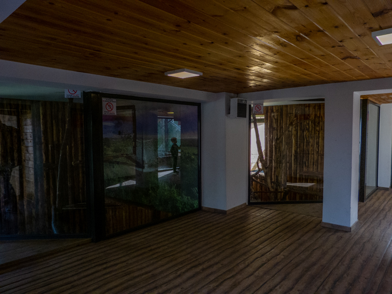 indoor enclosures monkey