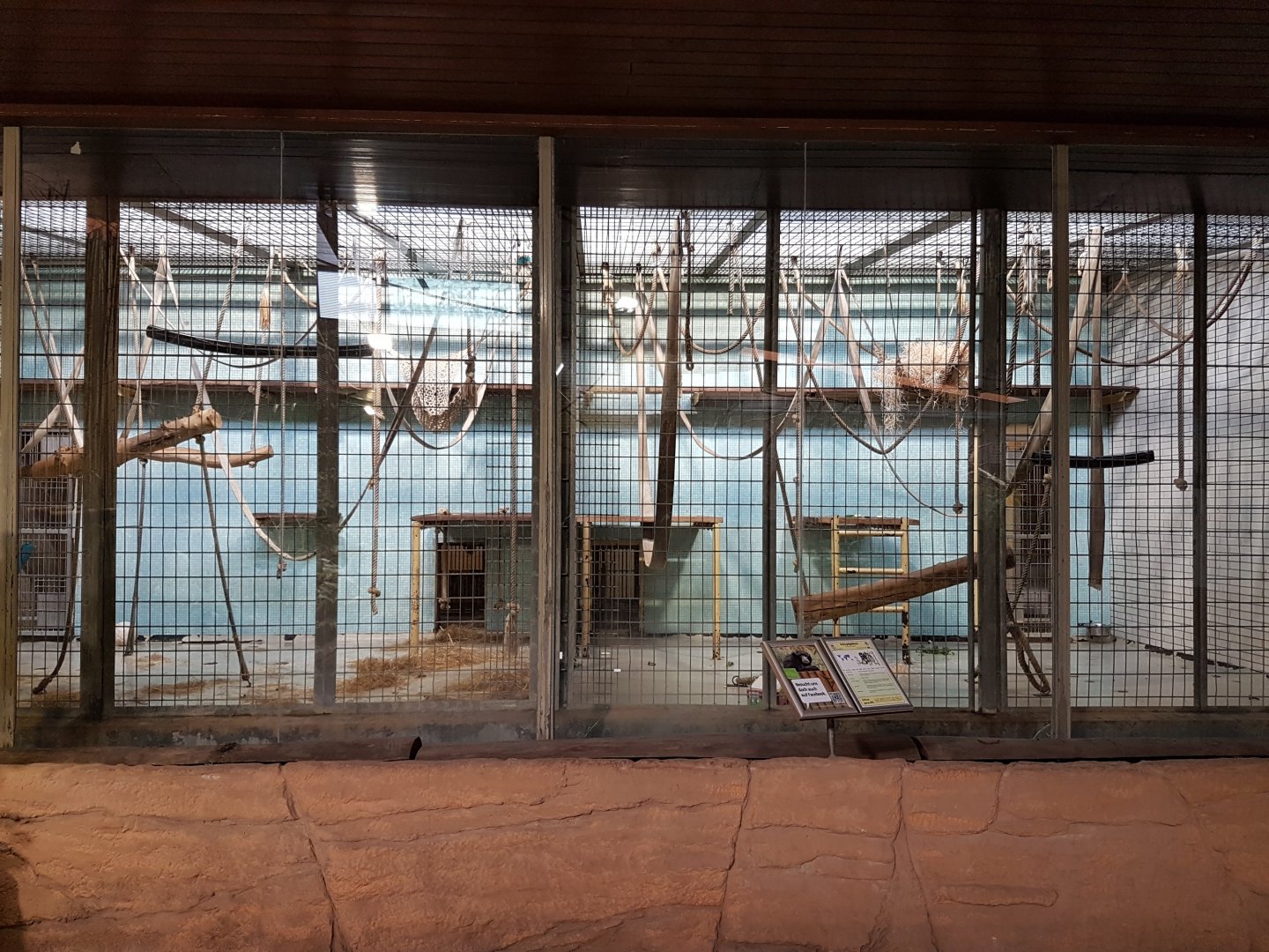 Indoor-enclosures Norther white-cheeked gibbon