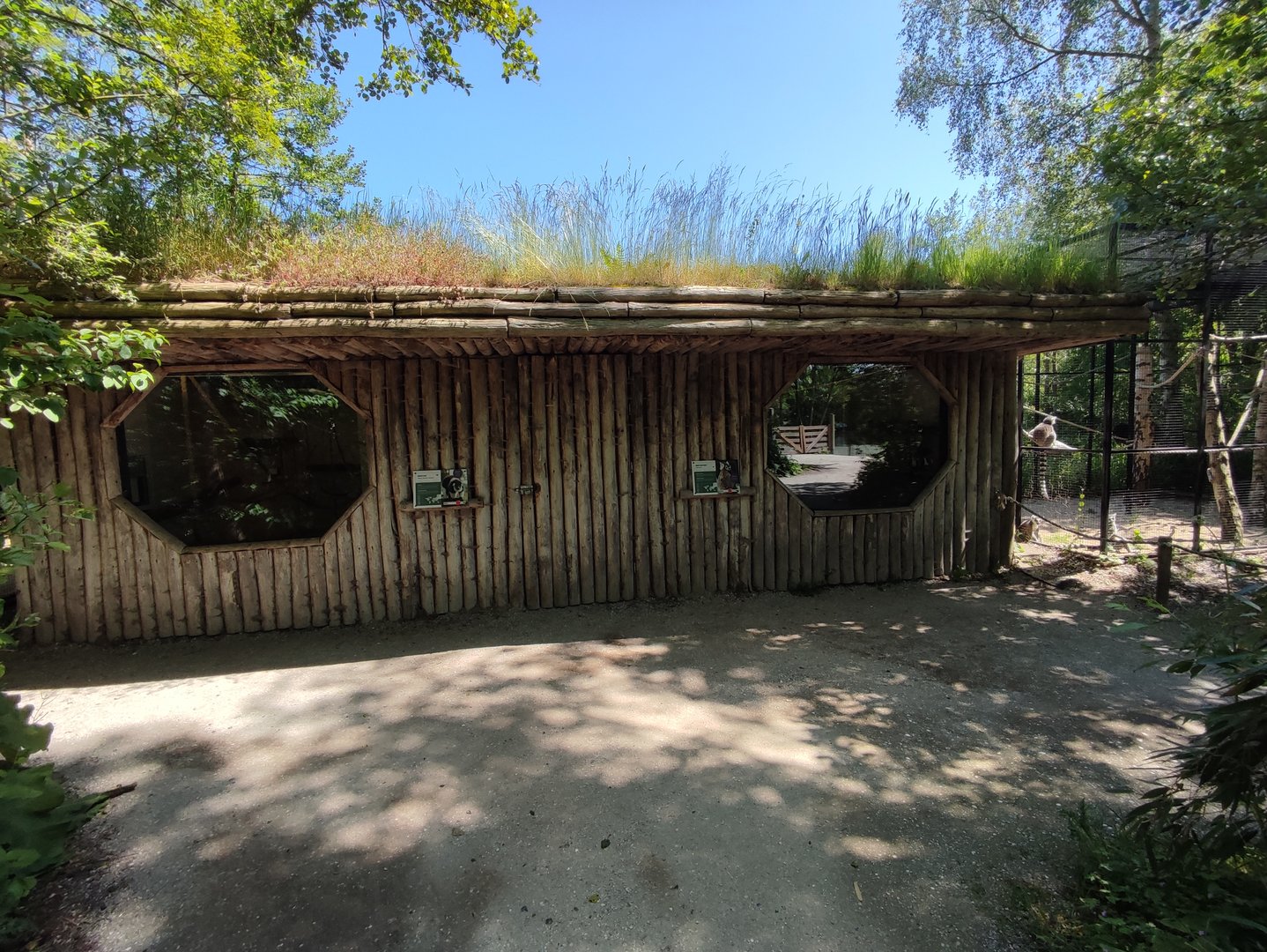 Indoor enclosures of ring-tailed lemurs and belted lemurs.