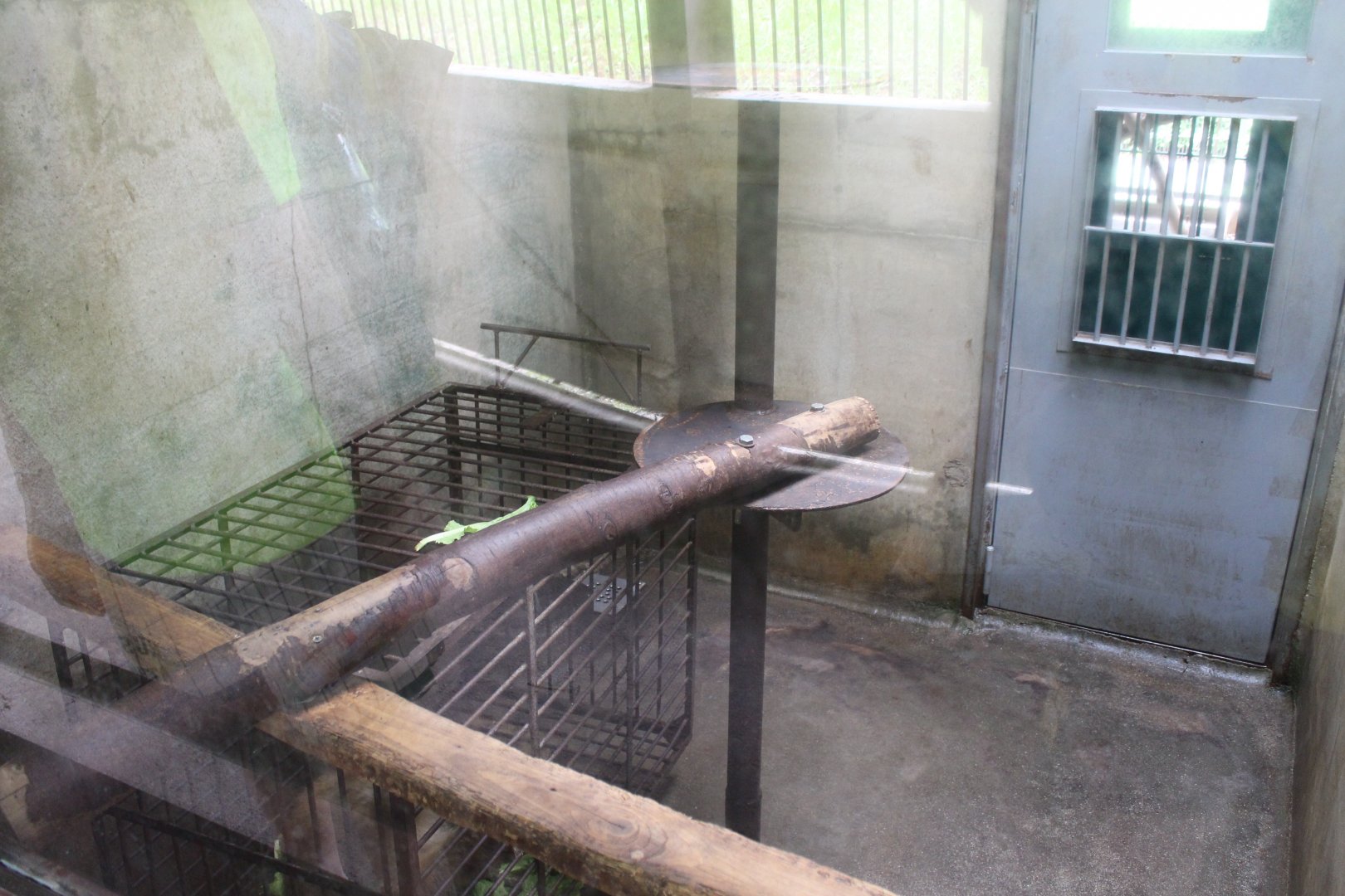 Indoor exhibit for Asian monkeys