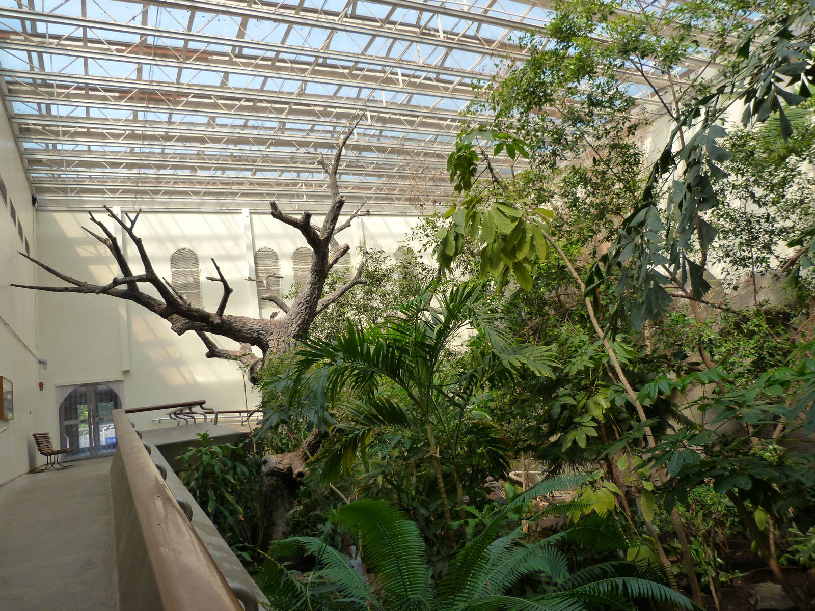 Indoor Flight Exhibit (Second Floor)