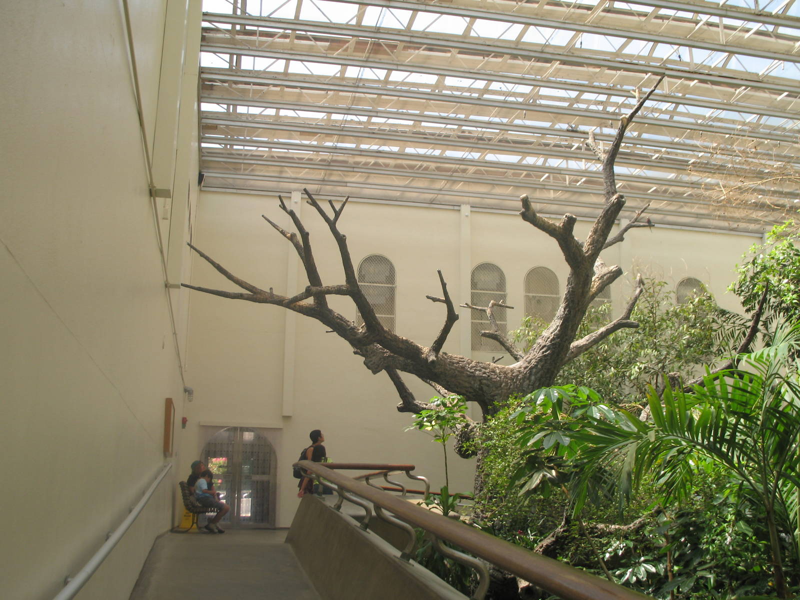 Indoor Flight Room in Bird House