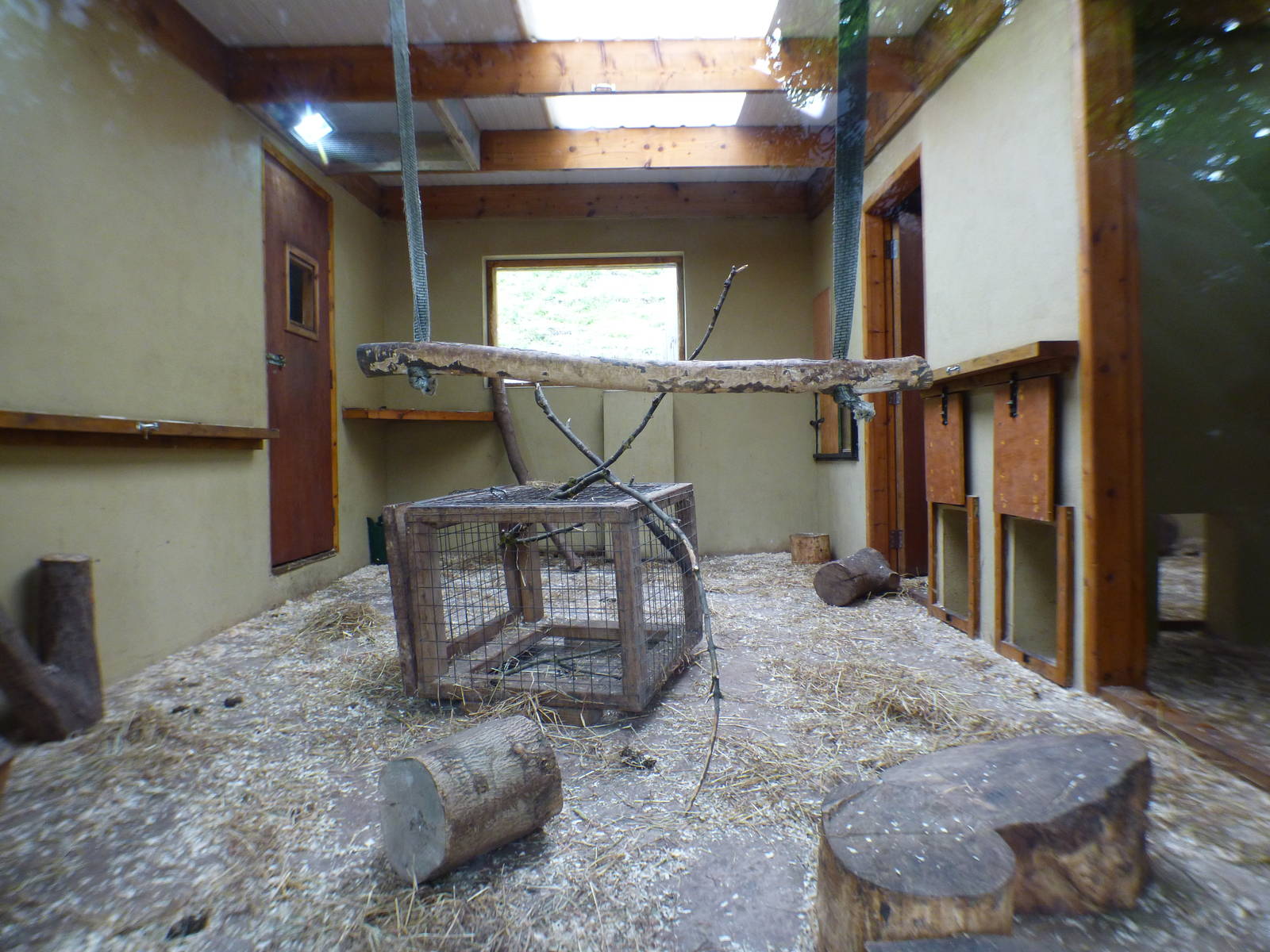 Indoor Gelada Enclosure