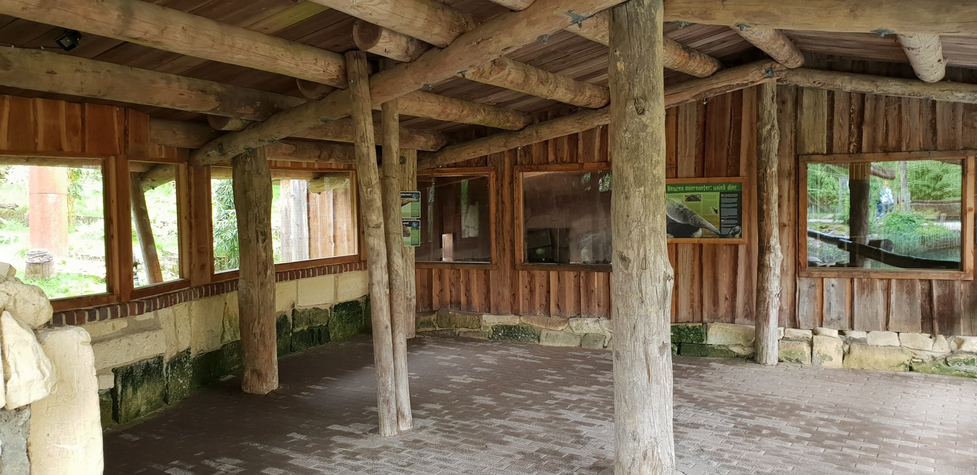 Indoor Giant anteater enclosure