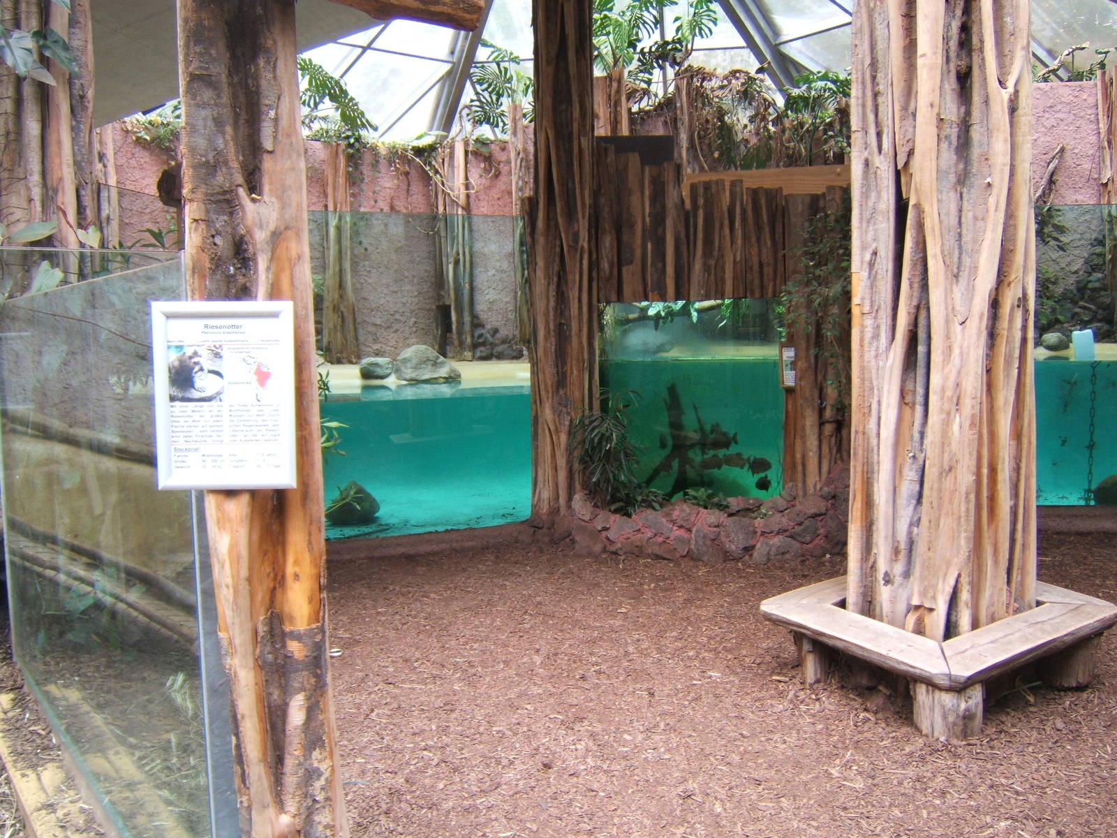 Indoor Giant Otter enclosure and Piranha Tank