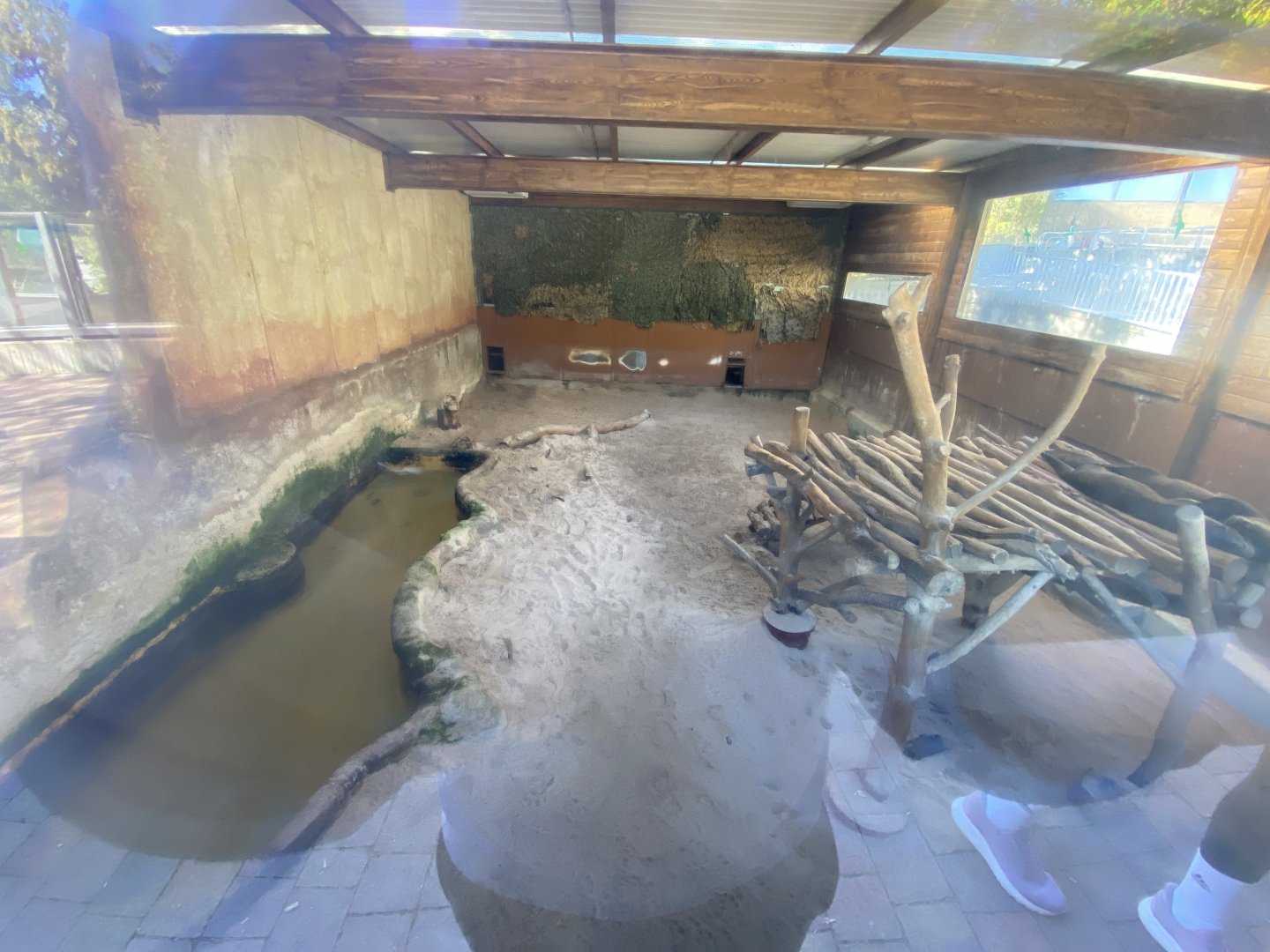 Indoor giant otter enclosure