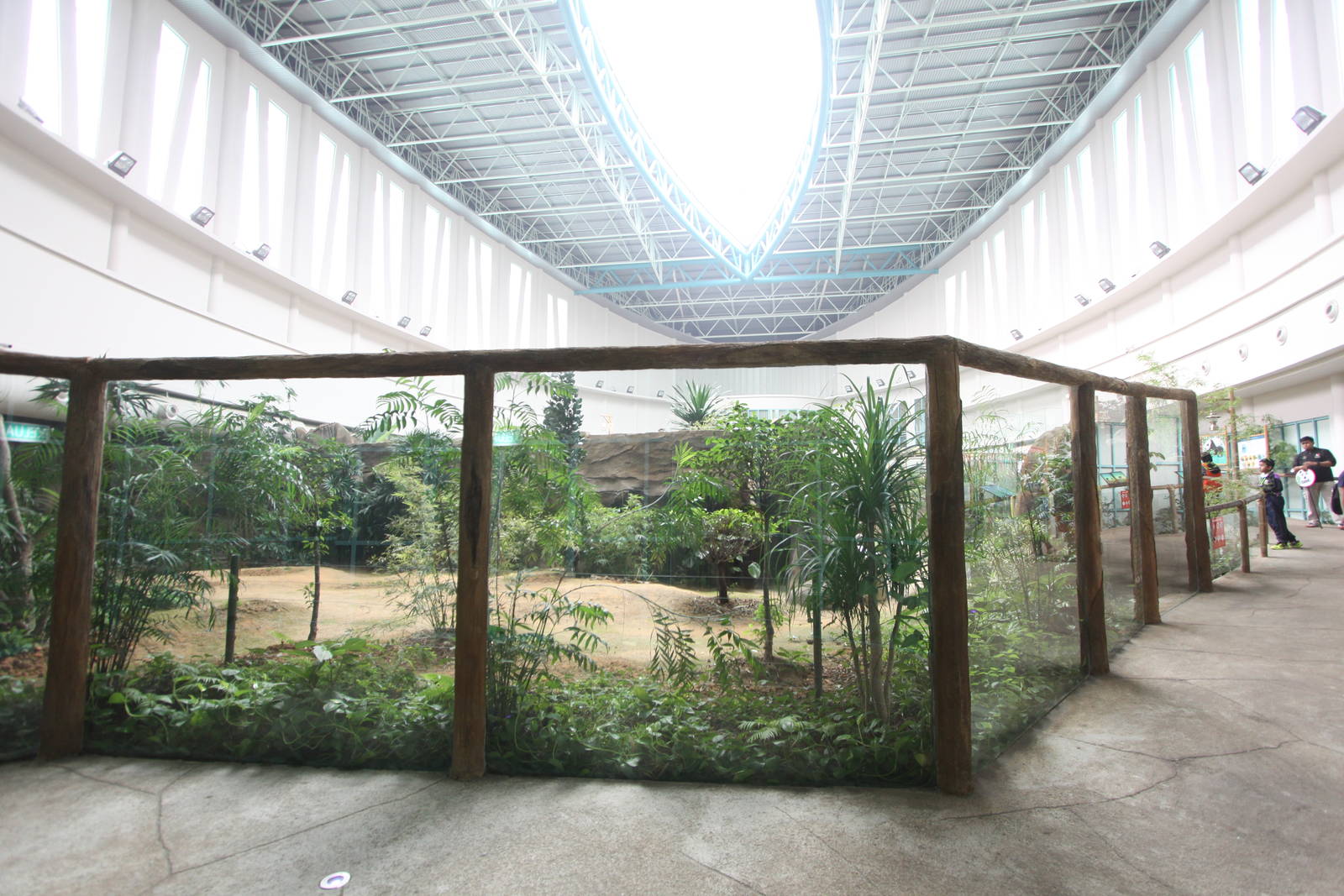 Indoor giant panda exhibit