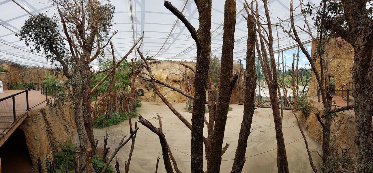 indoor giraffe enclosure