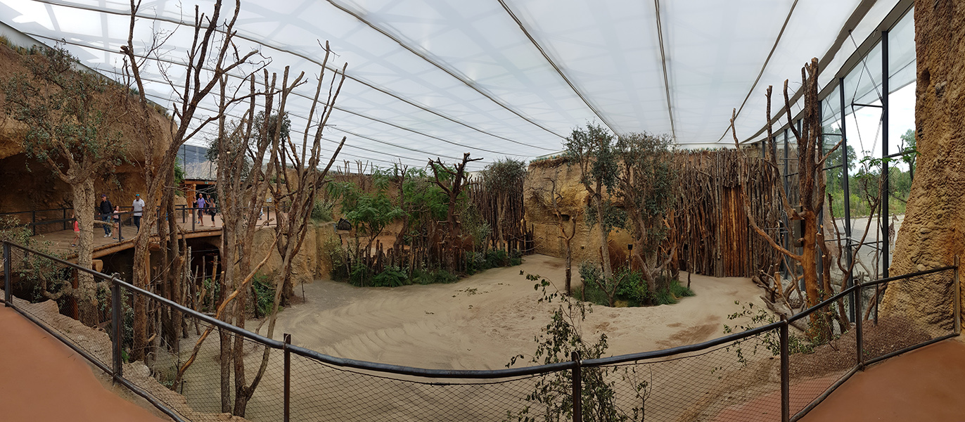 indoor giraffe enclosure