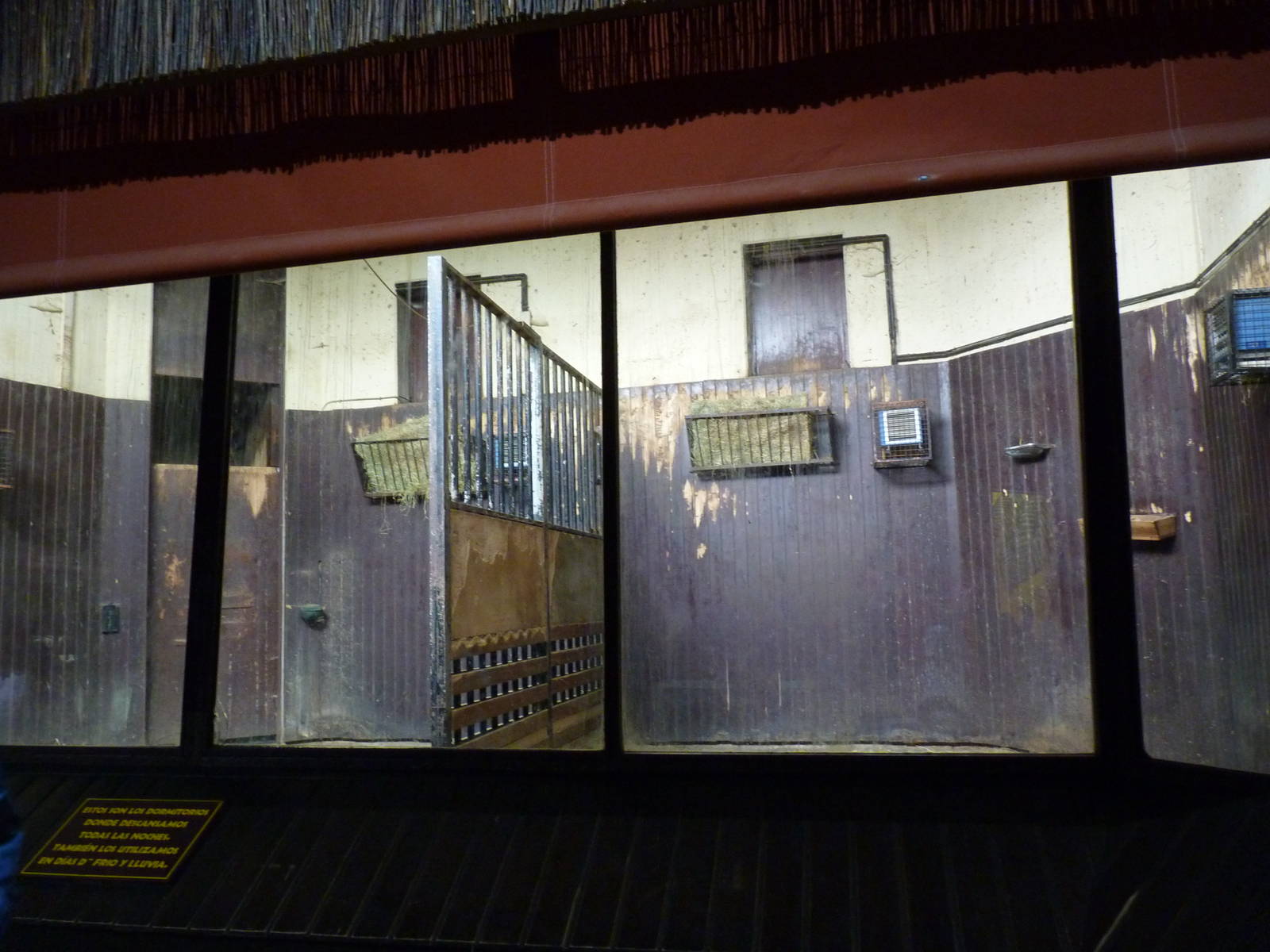 Indoor giraffe stalls, June 2013