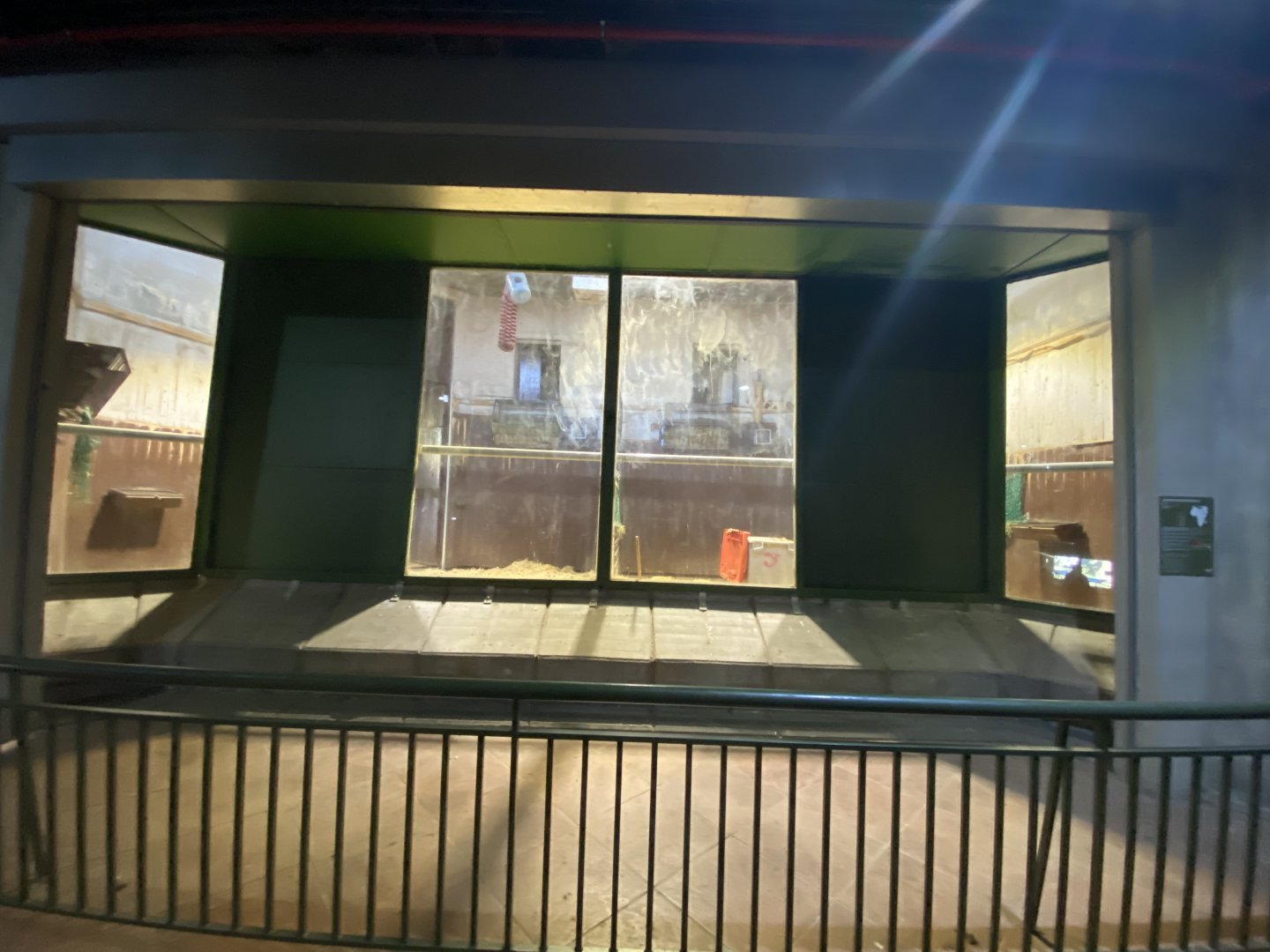 Indoor giraffe stalls