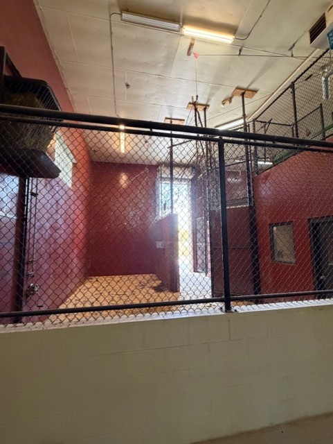 indoor giraffer stall