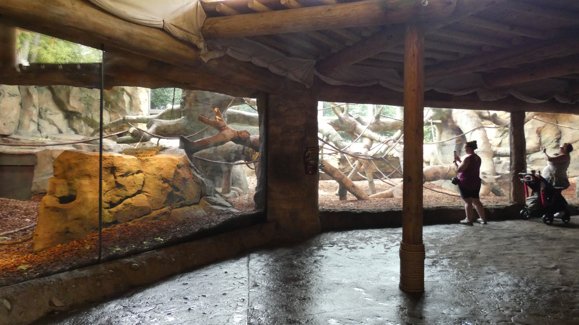 Indoor Gorilla Dayroom, Gorilla World - Aug. 2021