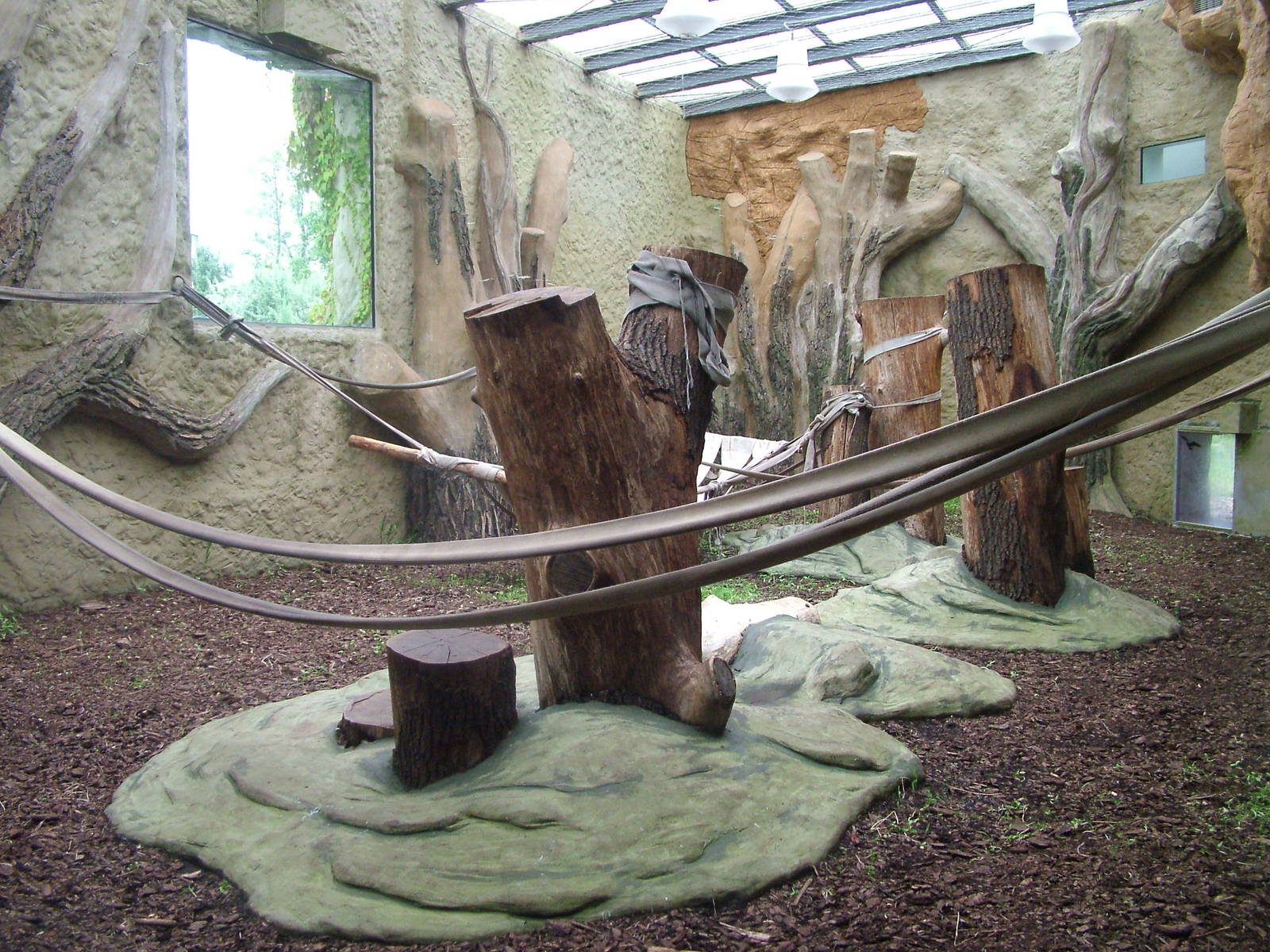 Indoor gorilla enclosure at Opole Zoo, Poland 2008