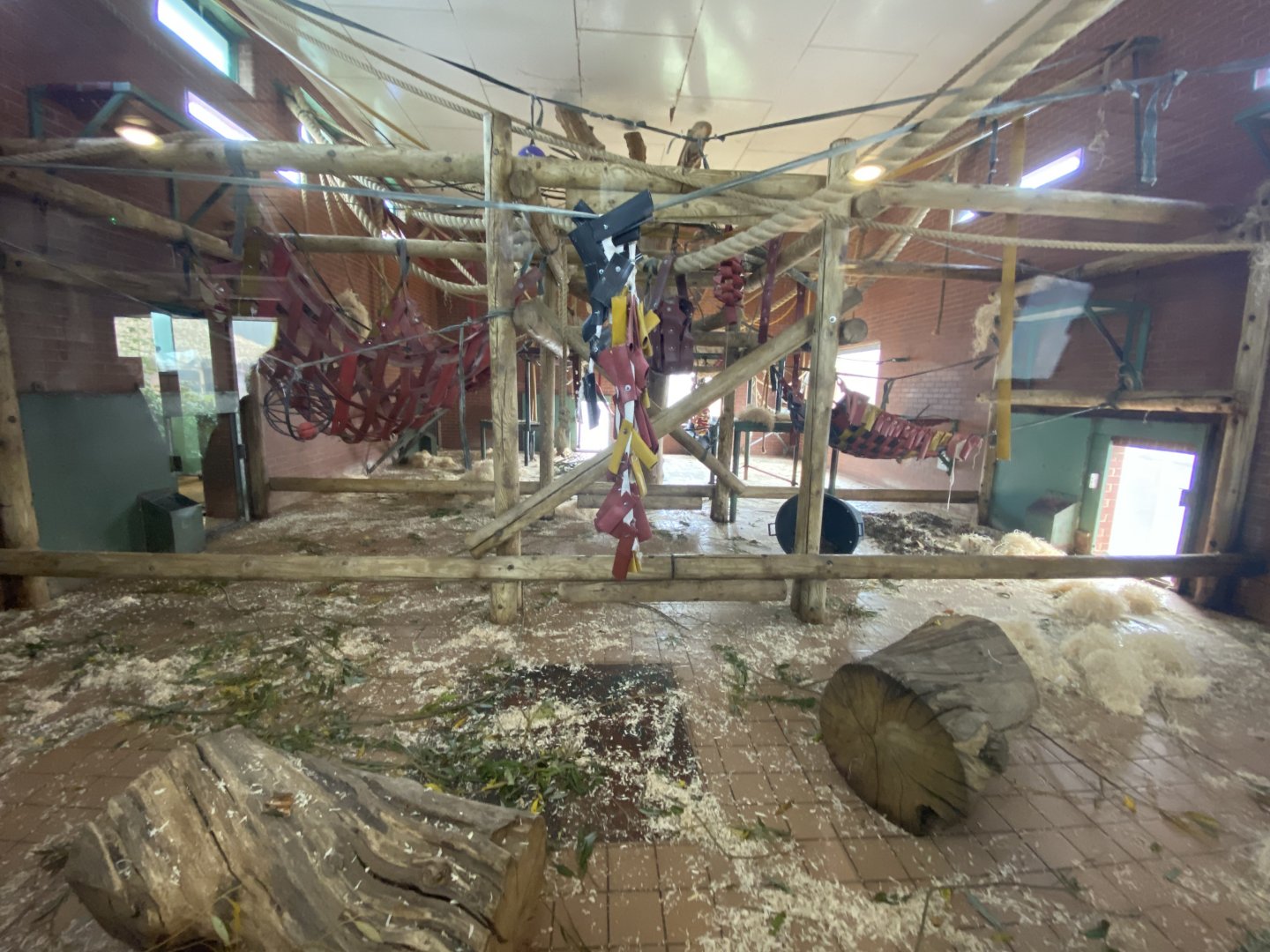 Indoor gorilla enclosure