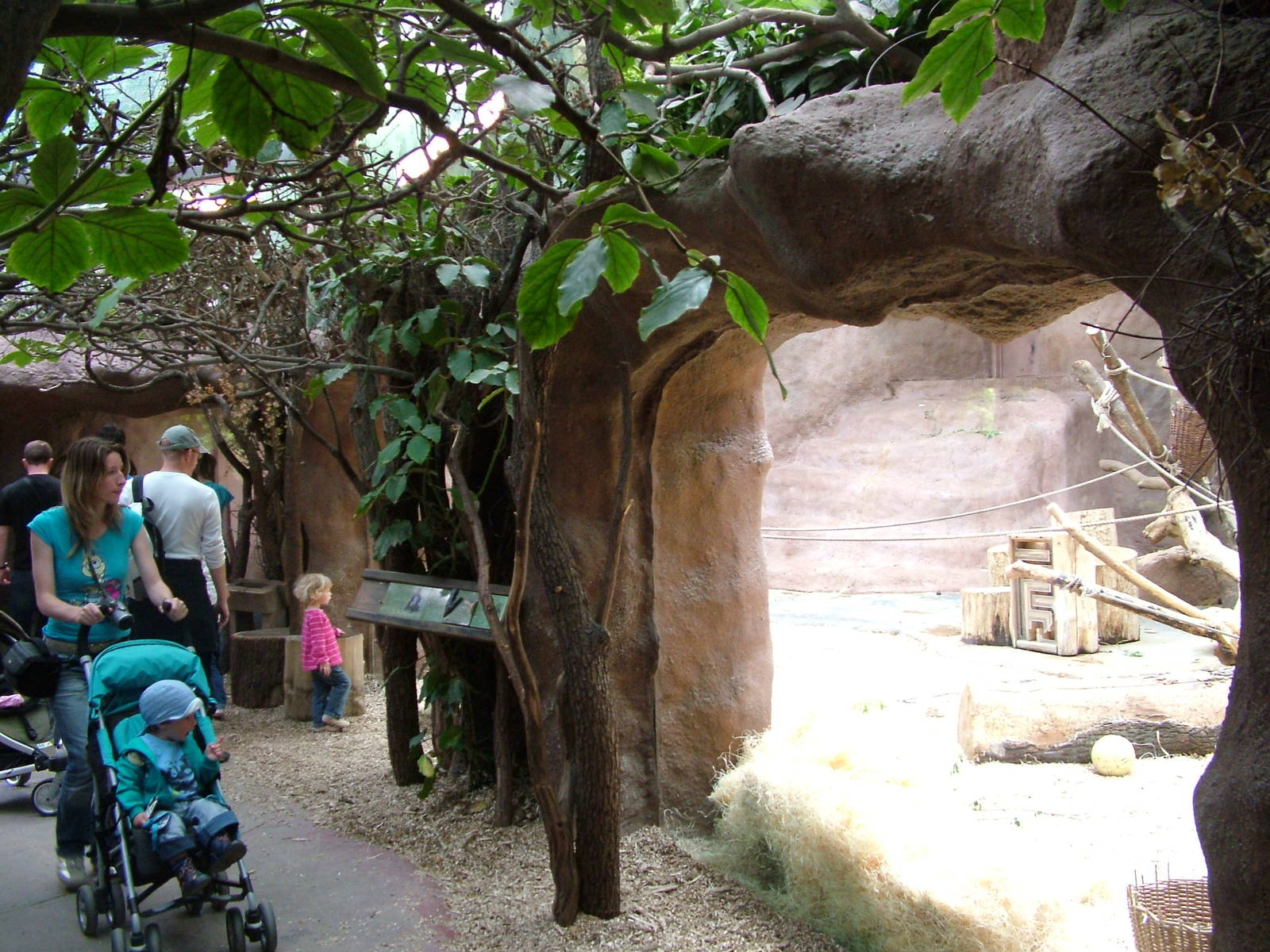 Indoor Gorilla exhibit at Prague, 24/05/10