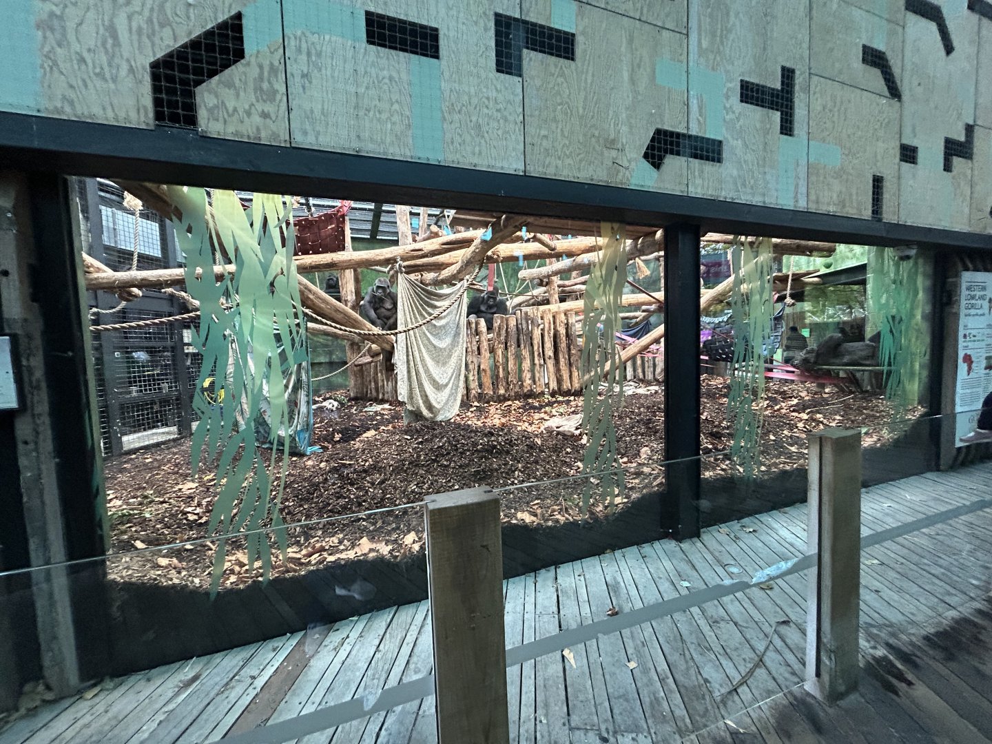 Indoor Gorilla Exhibit - Gorilla Kingdom