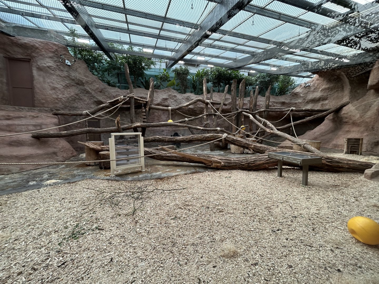 Indoor Gorilla Exhibit - Mefou Center