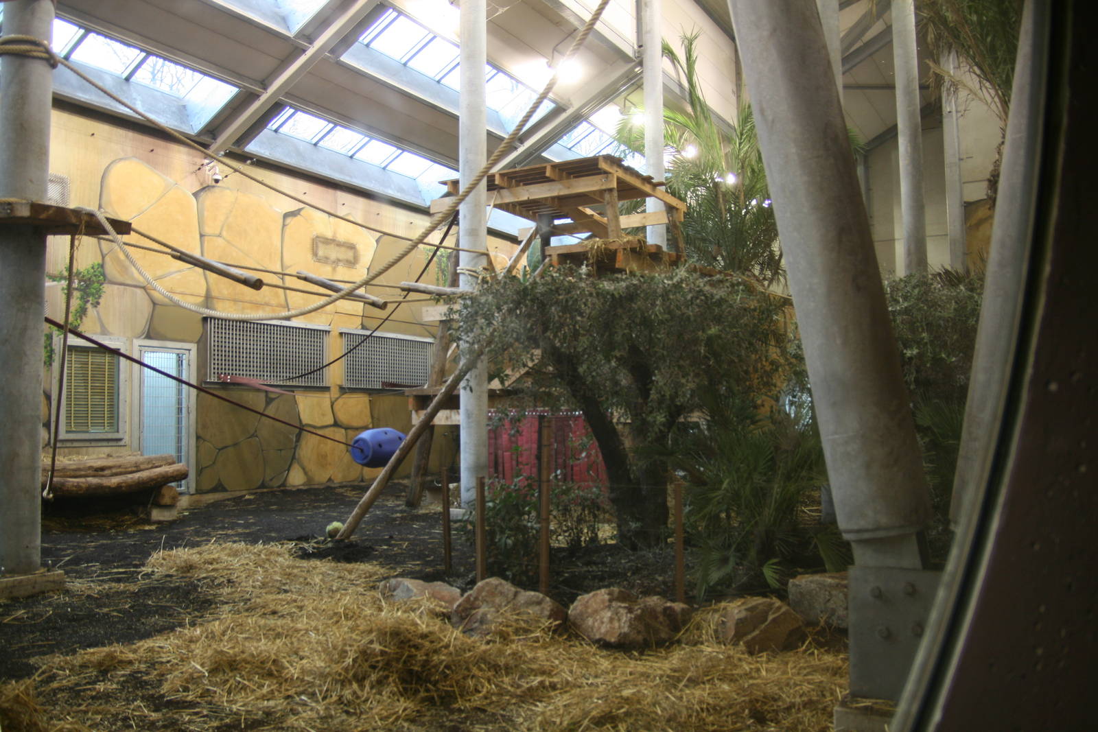 indoor Gorilla exhibit