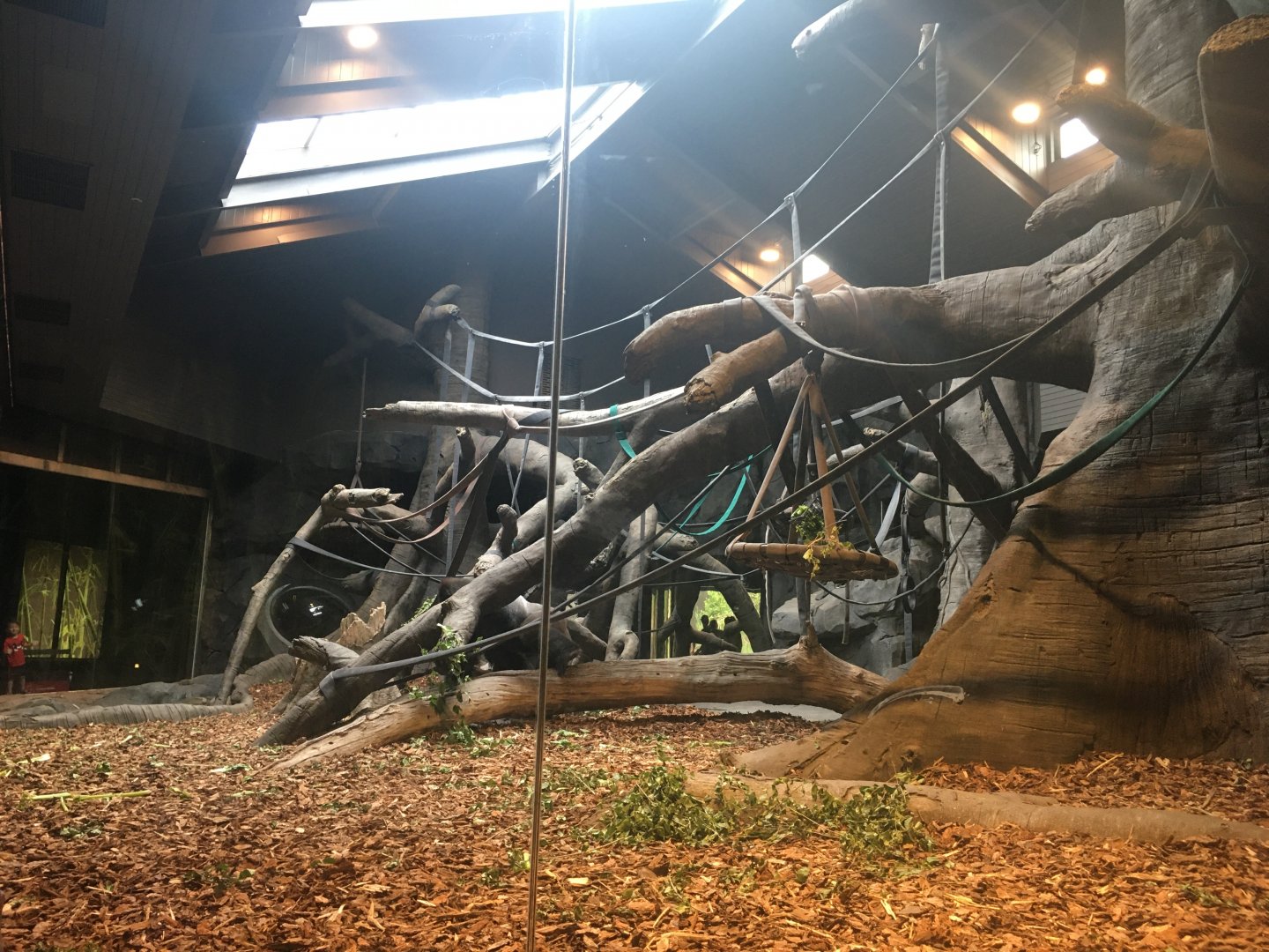 Indoor Gorilla Exhibit