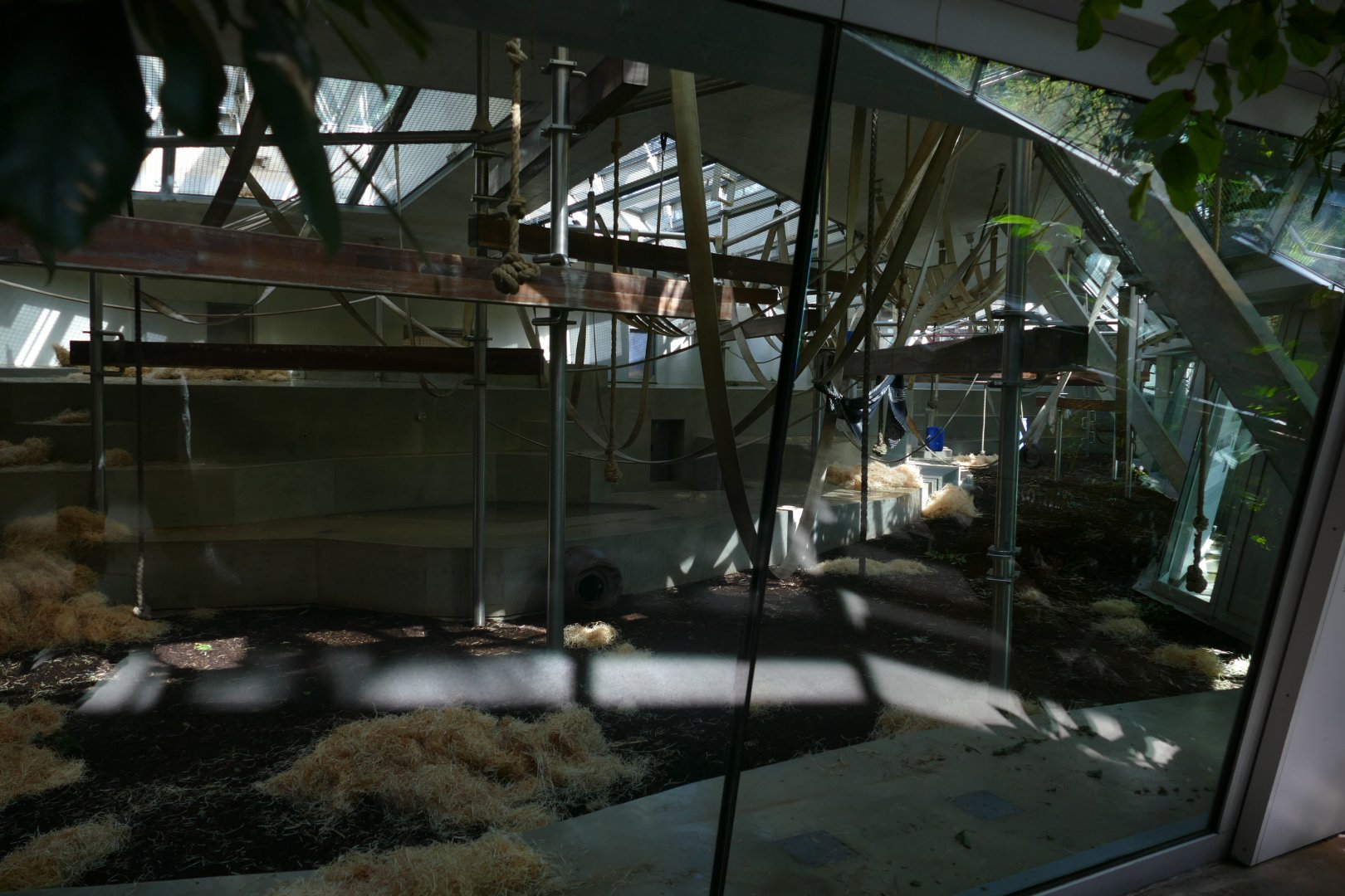 Indoor Gorilla Exhibit