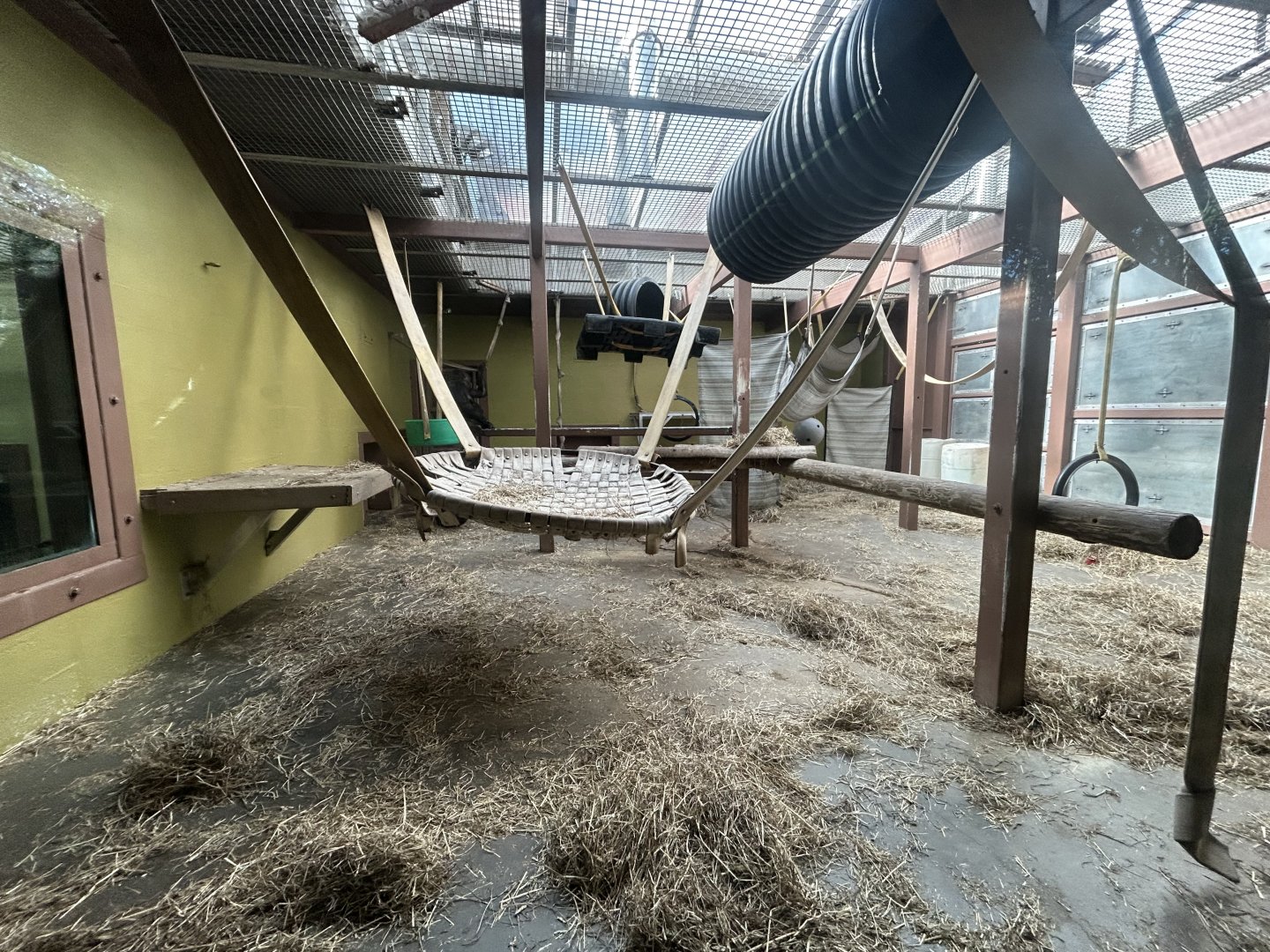 Indoor Gorilla Exhibit