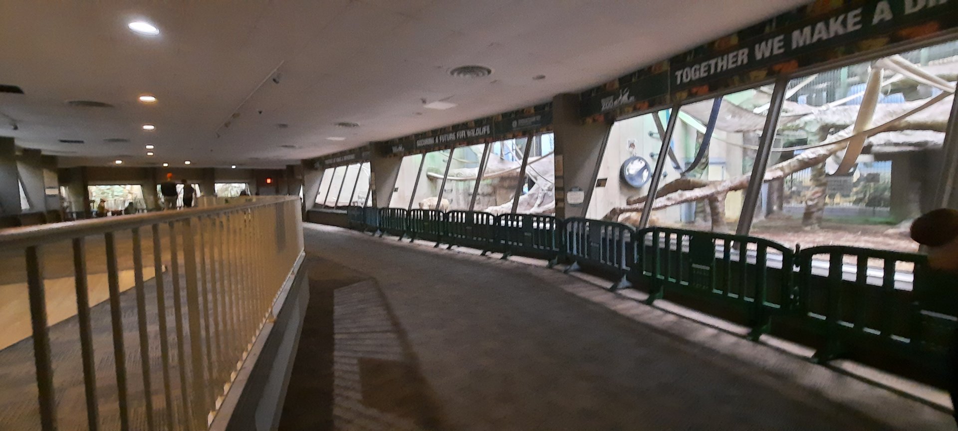 Indoor Gorilla Exhibits