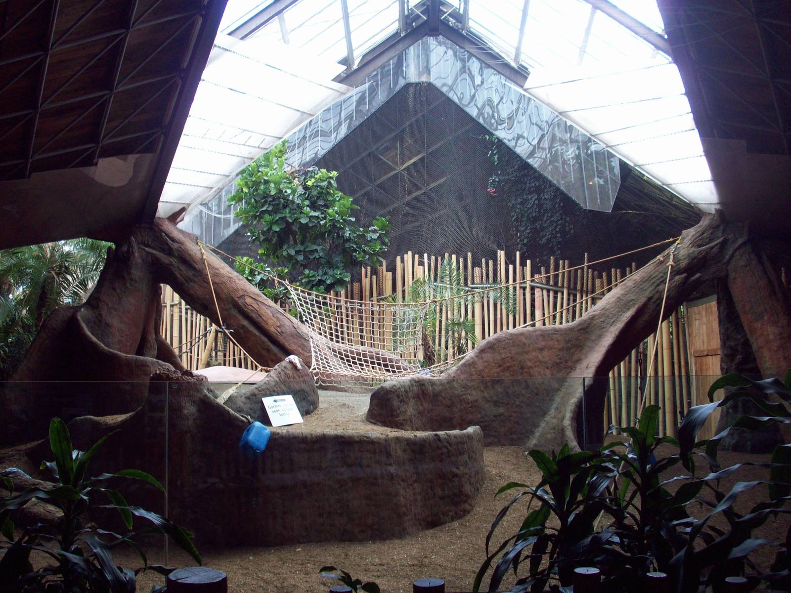 Indoor Gorilla Habitat.