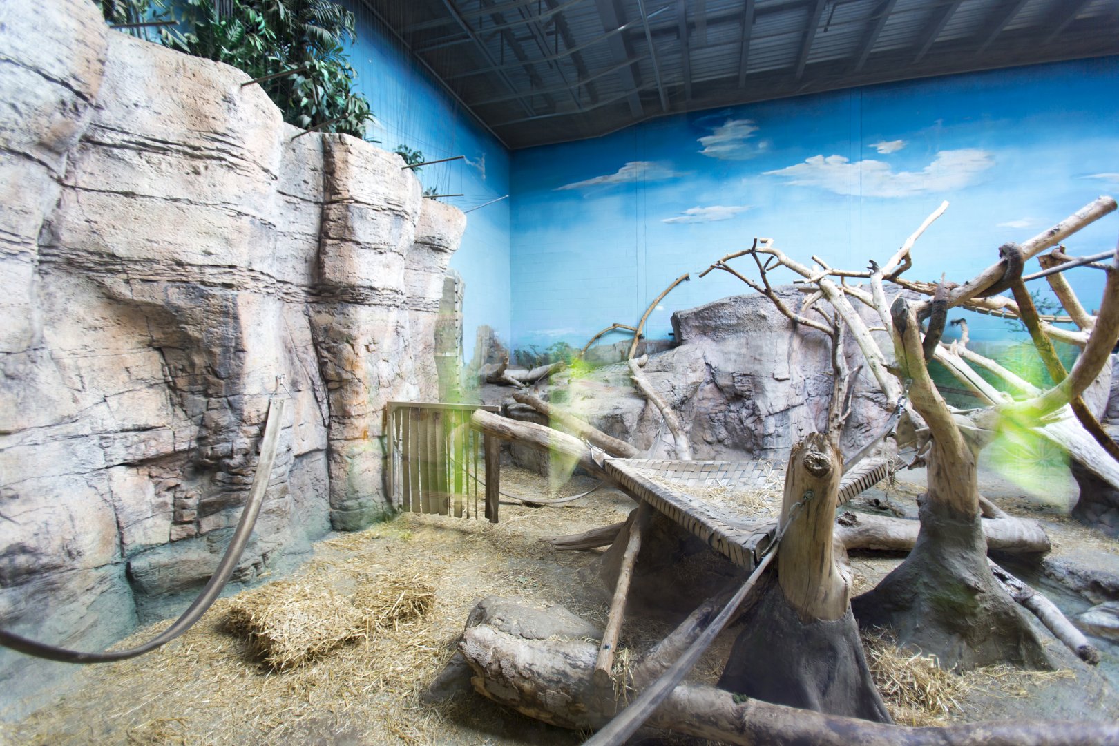Indoor Gorilla Habitat